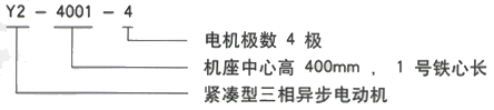 YR系列(H355-1000)高压YJTG-225M-4A/45KW三相异步电机西安西玛电机型号说明